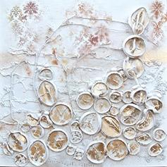immagine_1